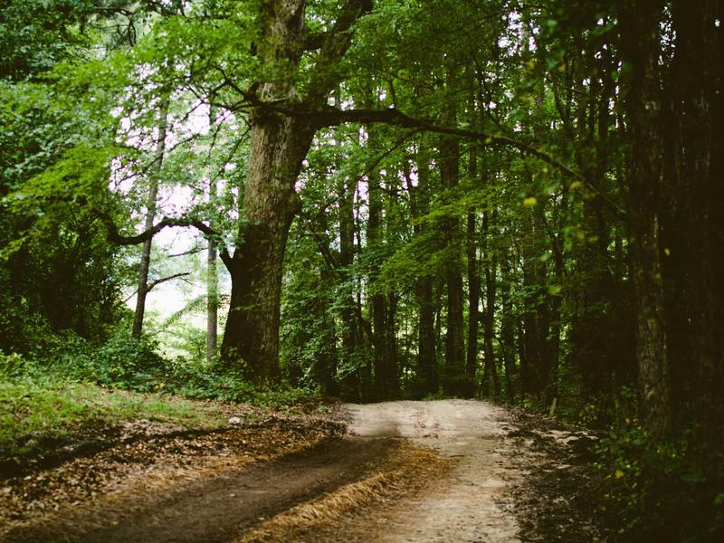 sudoku team challenge screenshot 4